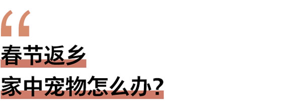 春節(jié)返鄉(xiāng)家門安全誰(shuí)來(lái)顧?這題交給飛利浦智能鎖 春節(jié)返鄉(xiāng)家門安全誰(shuí)來(lái)顧?這題交給飛利浦智能鎖