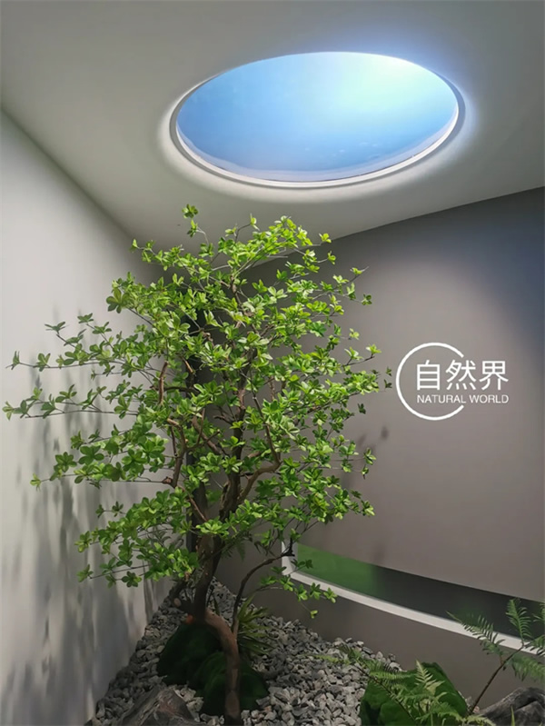 自然界太陽燈:點亮你的廚房與衛生間,模擬日升日落的奇妙之旅 自然界太陽燈:點亮你的廚房與衛生間,模擬日升日落的奇妙之旅
