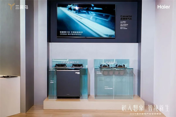 海爾廚電:中國首個超千萬臺的品牌 海爾廚電:中國首個超千萬臺的品牌