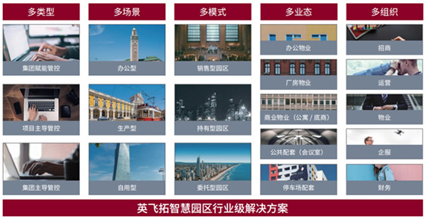 科技飛躍，數字安全同行