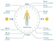 光線與晝夜節律 | 科學打造健康生物鐘的照明環境