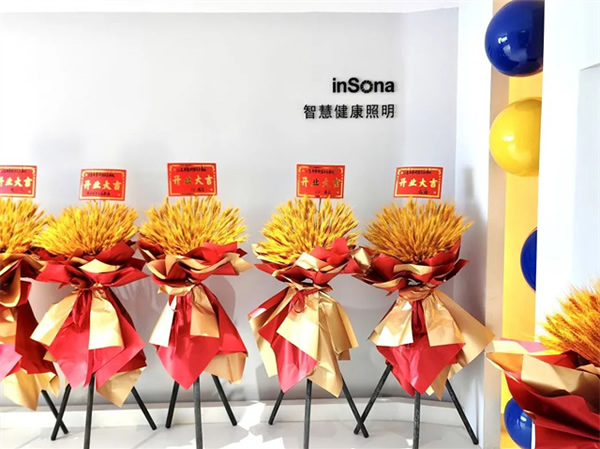 乘風破浪 揚帆啟航 | inSona重慶駐點正式開業(yè) 乘風破浪 揚帆啟航 | inSona重慶駐點正式開業(yè)