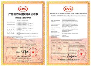 權威認證！德施曼智能鎖斬獲迪拜極端環境認證